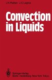 Convection in Liquids (eBook, PDF)