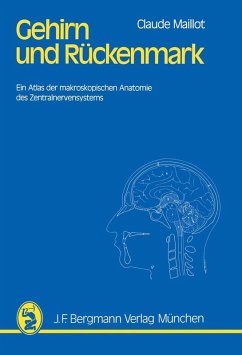 Cover Gehirn und Rückenmark (eBook, PDF)