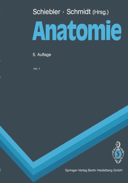 Anatomie (eBook, PDF)
