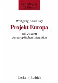 Projekt Europa (eBook, PDF)