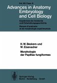 Morphologie der Papillae fungiformes (eBook, PDF)