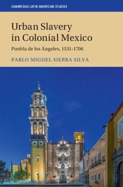 Urban Slavery in Colonial Mexico (eBook, PDF) - Silva, Pablo Miguel Sierra