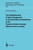 The Establishment of Spermatogenesis in the Seminiferous Epithelium of the Pubertal Golden Hamster (Mesocricetus auratus) (eBook, PDF)