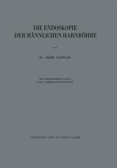 Die Endoskopie der Männlichen Harnröhre (eBook, PDF) - Glingar, Alois