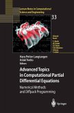 Advanced Topics in Computational Partial Differential Equations (eBook, PDF)