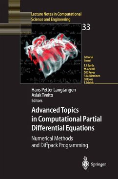 Cover Advanced Topics in Computational Partial Differential Equations (eBook, PDF)