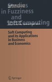 Soft Computing and its Applications in Business and Economics (eBook, PDF)