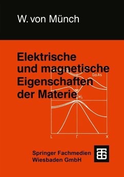 Elektrische und magnetische Eigenschaften der Materie (eBook, PDF) - Münch, Waldemar