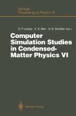 Computer Simulation Studies in Condensed-Matter Physics VI (eBook, PDF)