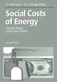 Social Costs of Energy (eBook, PDF)