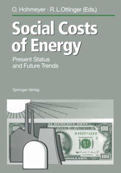 Cover Social Costs of Energy (eBook, PDF)