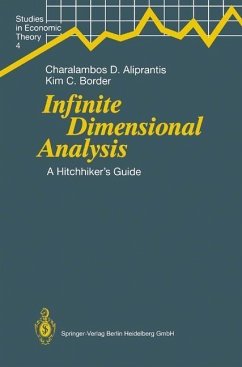 Cover Infinite Dimensional Analysis (eBook, PDF)