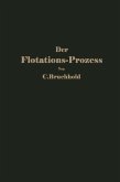 Der Flotations-Prozess (eBook, PDF)