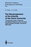 The Morphogenesis of the Arteries of the Pelvic Extremity (eBook, PDF)