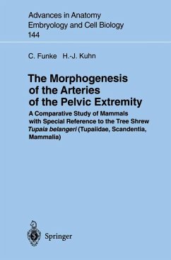 The Morphogenesis of the Arteries of the Pelvic Extremity (eBook, PDF) - Funke, Carolin; Kuhn, Hans-Jörg