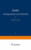 Kohle (eBook, PDF)