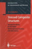 Stressed Composite Structures (eBook, PDF)