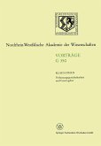 Verfassungsgerichtsbarkeit und Gesetzgeber (eBook, PDF)