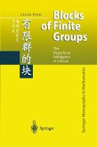 Blocks of Finite Groups (eBook, PDF)