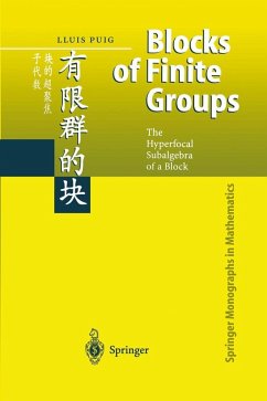 Blocks of Finite Groups (eBook, PDF) - Puig, Lluis