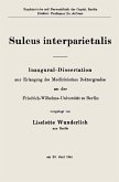 Sulcus interparietalis (eBook, PDF)