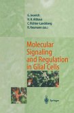 Molecular Signaling and Regulation in Glial Cells (eBook, PDF)