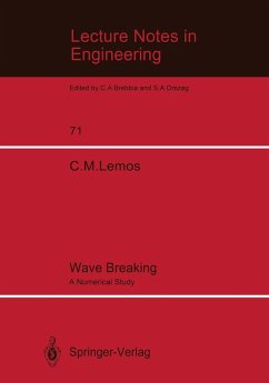 Wave Breaking (eBook, PDF) - Lemos, Carlos M.