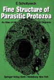 Fine Structure of Parasitic Protozoa (eBook, PDF)