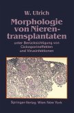 Morphologie von Nierentransplantaten (eBook, PDF)