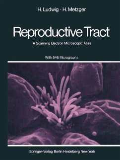 The Human Female Reproductive Tract (eBook, PDF) - Ludwig, H.; Metzger, H.