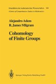 Cohomology of Finite Groups (eBook, PDF)
