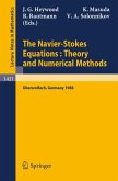 The Navier-Stokes Equations Theory and Numerical Methods (eBook, PDF)