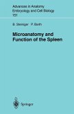 Microanatomy and Function of the Spleen (eBook, PDF)