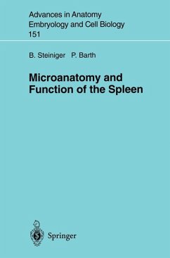 Microanatomy and Function of the Spleen (eBook, PDF) - Steiniger, Birte; Barth, Peter