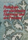 Pathologie der ableitenden Harnwege und der Prostata (eBook, PDF)