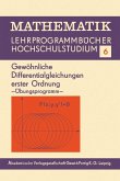 Gewöhnliche Differentialgleichungen erster Ordnung (eBook, PDF)