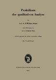 Praktikum der qualitativen Analyse (eBook, PDF)
