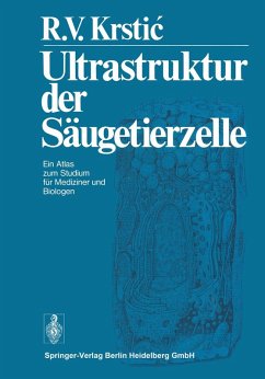Cover Ultrastruktur der Säugetierzelle (eBook, PDF)