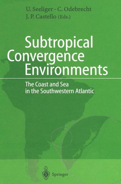 Subtropical Convergence Environments (eBook, PDF)