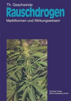 Rauschdrogen (eBook, PDF) - Geschwinde, T.