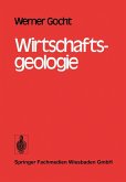Wirtschaftsgeologie (eBook, PDF)