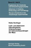 Licht- und elektronenmikroskopische Untersuchungen am Subcommissuralorgan der Maus (eBook, PDF)
