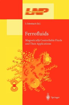 Cover Ferrofluids (eBook, PDF)