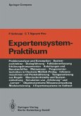 Expertensystem-Praktikum (eBook, PDF)