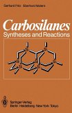 Carbosilanes (eBook, PDF)