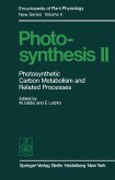 Photosynthesis II (eBook, PDF)