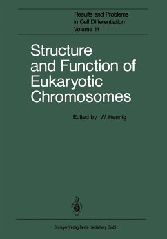 Structure and Function of Eukaryotic Chromosomes (eBook, PDF)