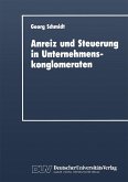 Anreiz und Steuerung in Unternehmenskonglomeraten (eBook, PDF)