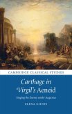 Carthage in Virgil's Aeneid (eBook, PDF)