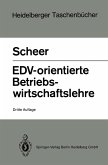 EDV-orientierte Betriebswirtschaftslehre (eBook, PDF)